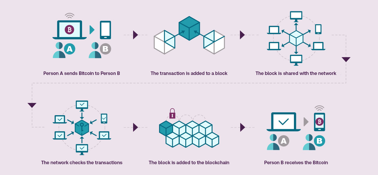 Crypto infographic