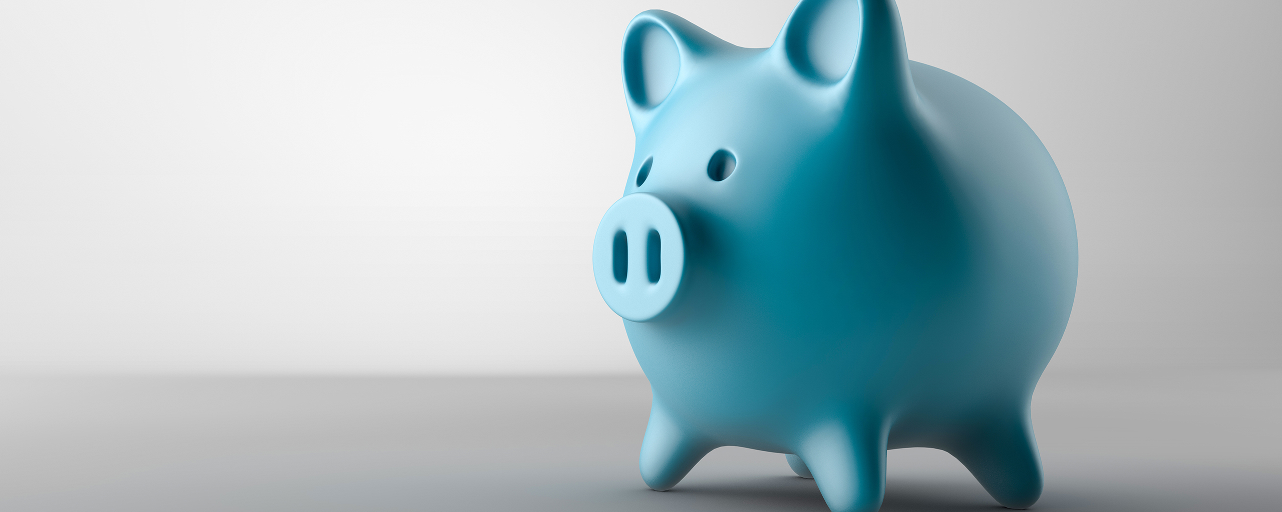piggy bank