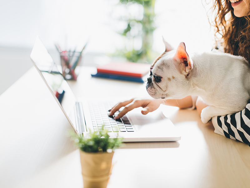 a woman and her dog looking at a laptop