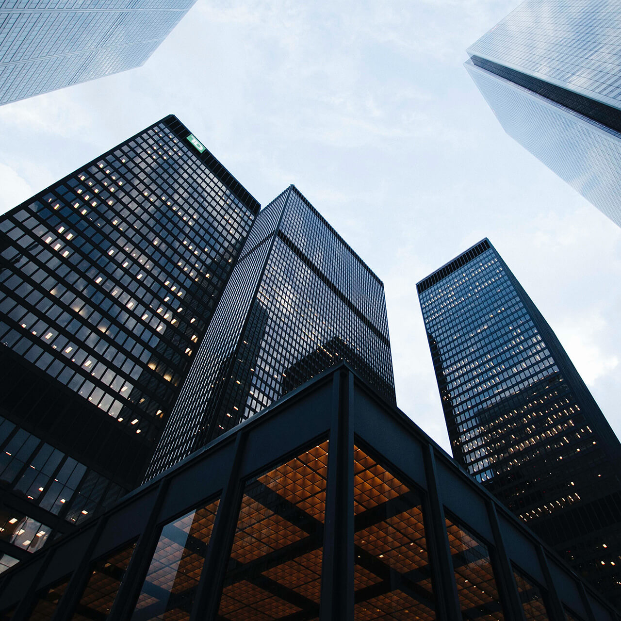 skyscrapers in the city