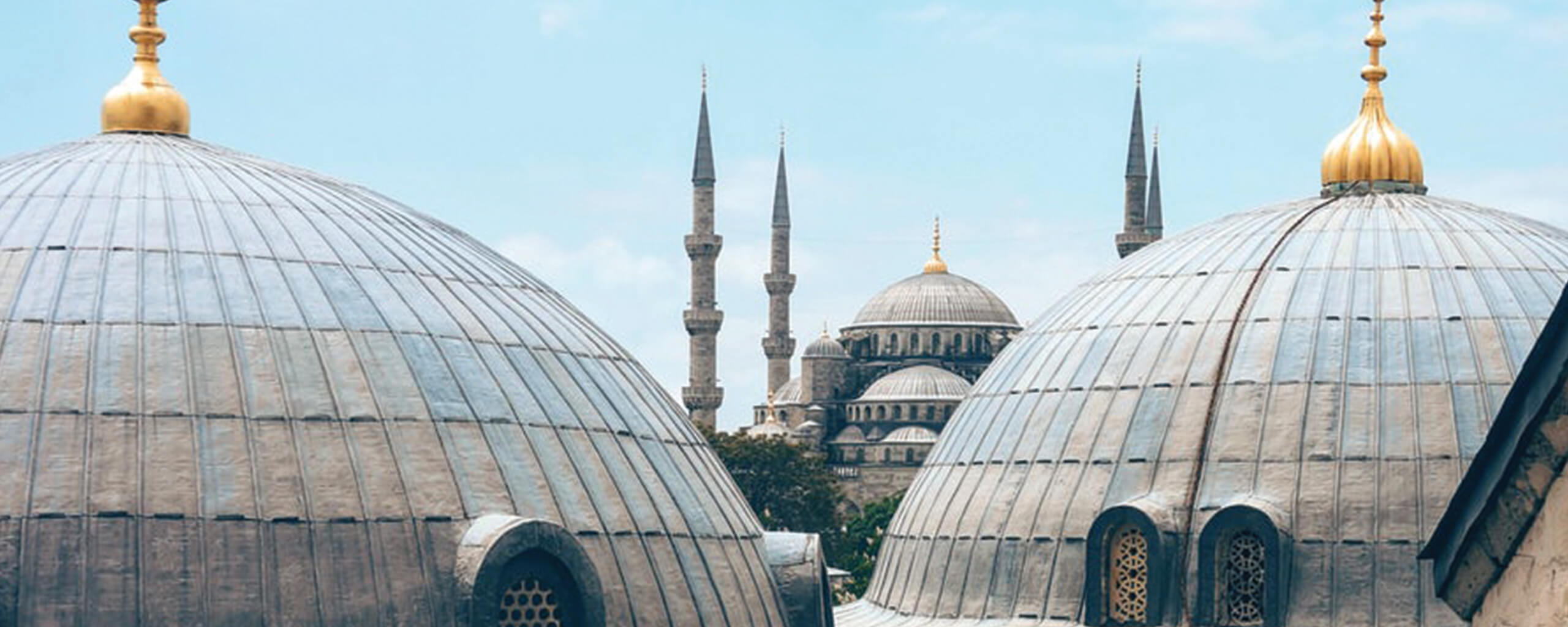 Turkey skyline