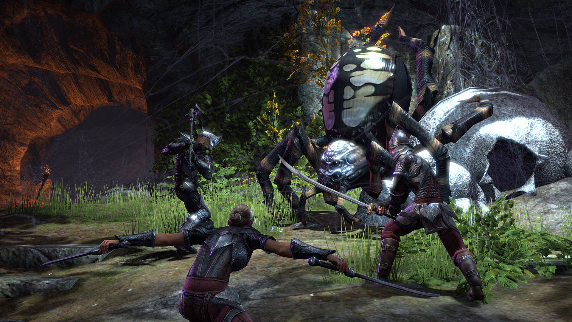 fighting scene from the game The Elder Scrolls